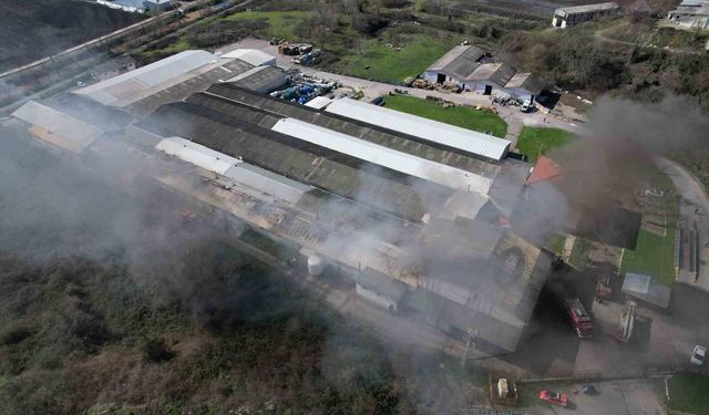 Şekerleme fabrikasında korkutan yangın: Ekipler seferber oldu