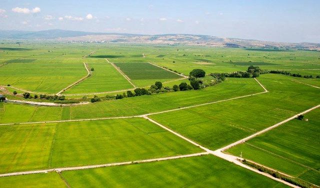 Bursa’da 1 bina, 4 daire, 1 dükkan ve 1 tarla satılığa çıkarıldı