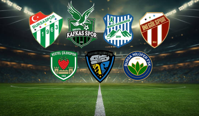 Pro lig puan tablosunda Bursaspor ve Kafkasspor ilk 20’de yer aldı
