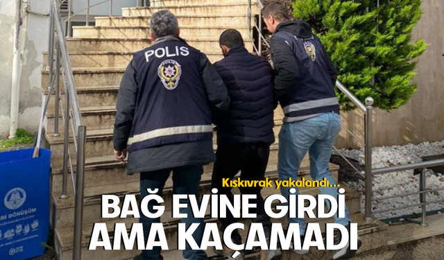 Bursa Mudanya'da bağ evinden hırsızlık yapan şüpheli yakalandı