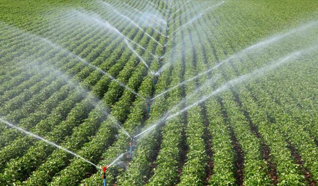 Bursa Büyükşehir'den çiftçiye damla sulama borusu desteği geliyor