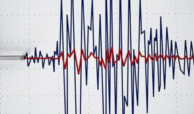 Ermenistan sallandı