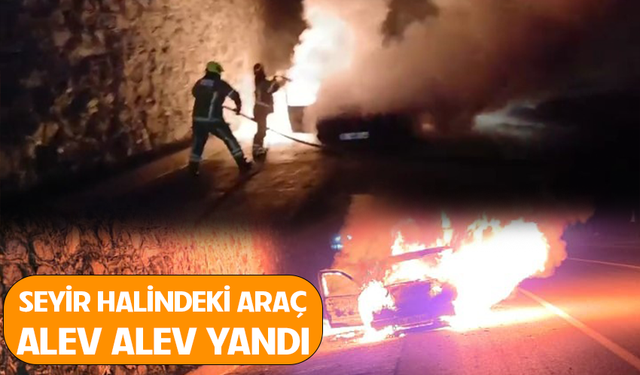 Bursa Mudanya yolunda korkutan araç yangını!