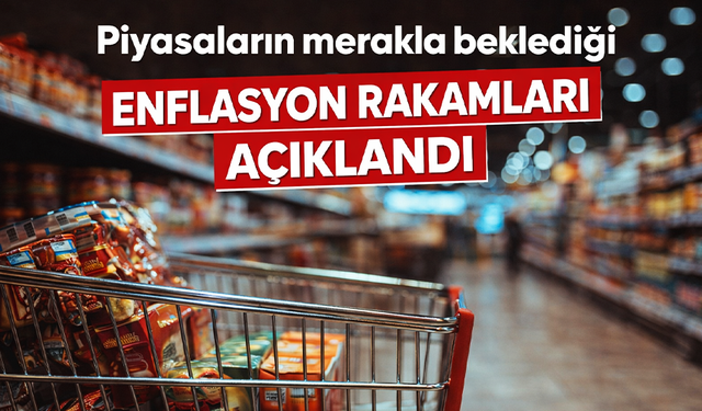 Ocak ayı enflasyon yüzde 4,84 oldu
