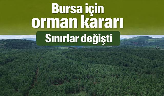 Bursa dahil 21 ilde bazı alanlar orman sınırları dışına çıkarıldı