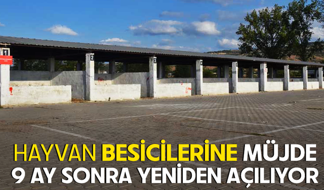 Bursa Yenişehir’de hayvan pazarı kontrollü olarak açılıyor