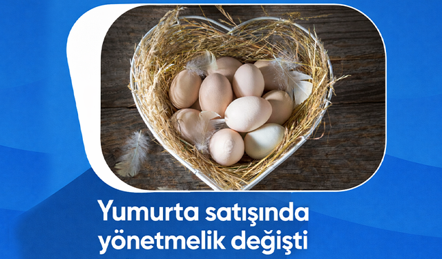 Yumurta satışında yönetmelik değişti