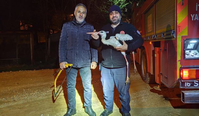 İnegöl İtfaiyesinden leylek kurtarma operasyonu