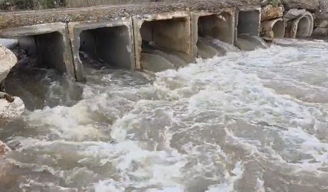 Bursa'da kuruyan dere coştu, İznik Gölü’ne umut oldu