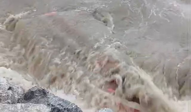 Bursa'da Gemlik ve Kumla'yı lodos vurdu, çok sayıda tekne battı