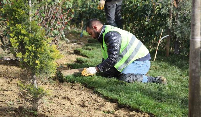 Kağıthane'de yeşil alanlarda bakım ve düzenleme çalışmaları sürüyor