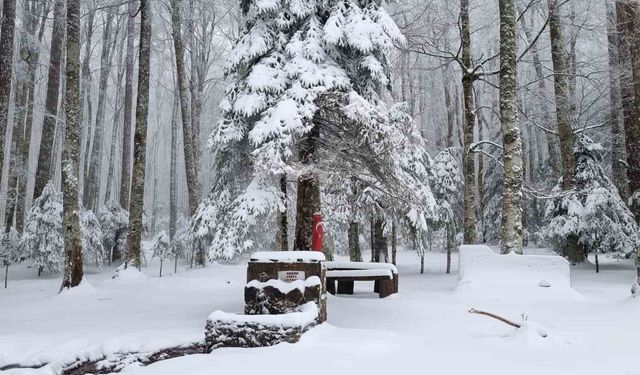 Kazdağları beyaz örtüsüne büründü