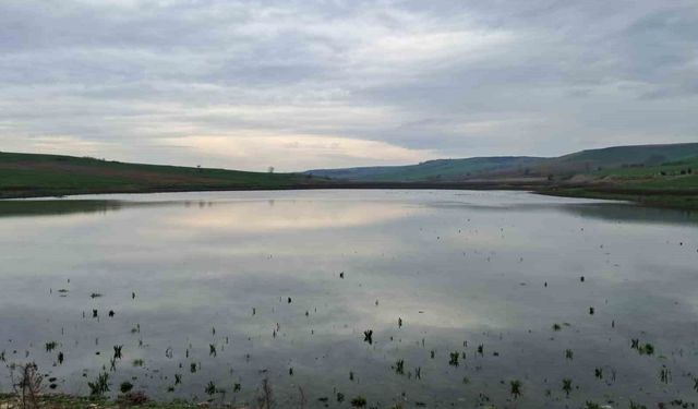 Kuruyan Yeşilsırt Göleti yağışlarla yeniden hayat buldu