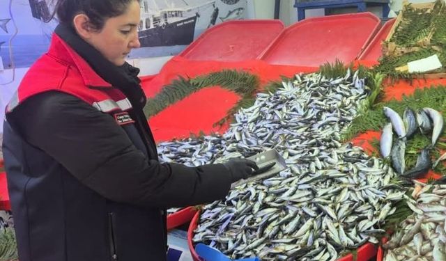 Tekirdağ'da su ürünlerine sıkı denetim