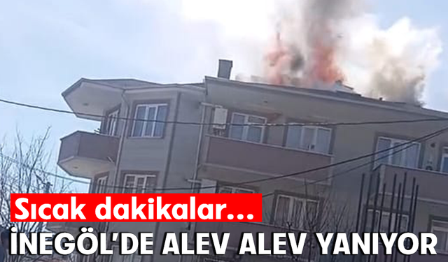 Bursa İnegöl'de alev alev yanıyor
