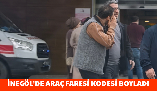 Bursa İnegöl'de araç faresi kodesi boyladı