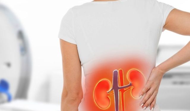 Çevresel faktörler kronik böbrek hastalığı riskini artırıyor