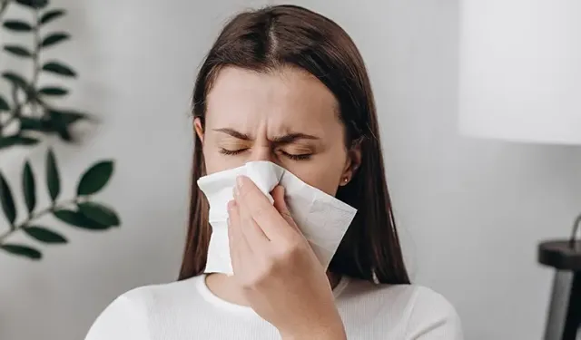 Domuz gribi vakalarında artış