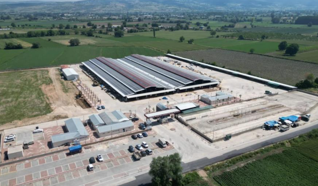 İnegöl Belediyesi tarihi açıkladı: İnegöllü hayvan üreticilerinin dikkatine