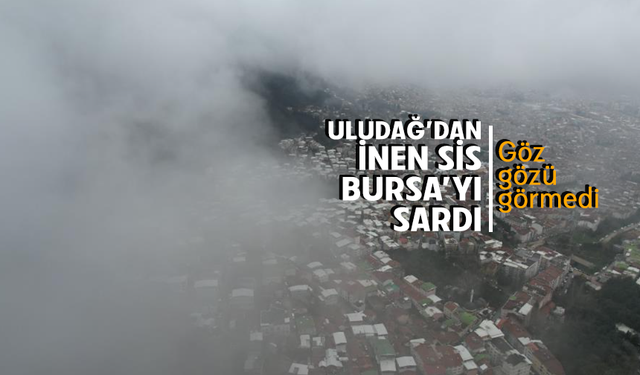 Uludağ'dan inen sis Bursa'yı sardı