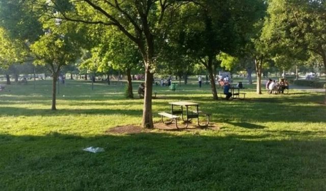 Bursa Hamitler Mesire Alanı, 3 ay kapalı kalacak