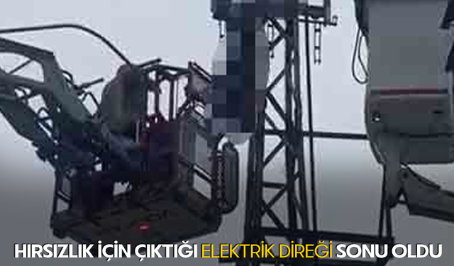 Bursa Nilüfer'de hırsızlık için çıktığı elektrik direği sonu oldu