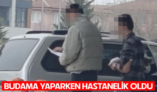 Bursa İnegöl'de budama yaparken hastanelik oldu