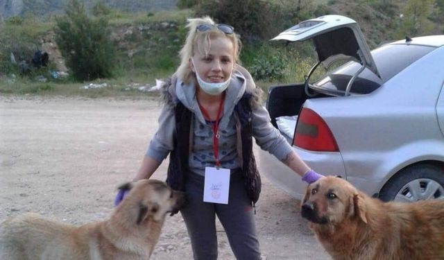 İnegöl Kent Konseyi’nden Sokak Hayvanları Günü Mesajı