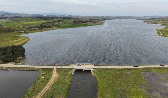 İstanbul'da barajlar doldu: Doluluk oranı yüzde 70'i aştı