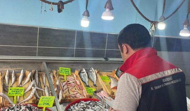 Tekirdağ'da su ürünleri denetimi
