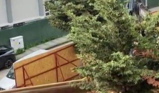 Üsküdar Belediyesi'nin ruhsat verdiği inşaat alanında ağaçlar kesildi