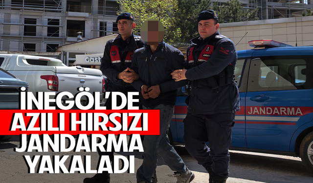 Bursa İnegöl'de azılı hırsızı Jandarma yakaladı