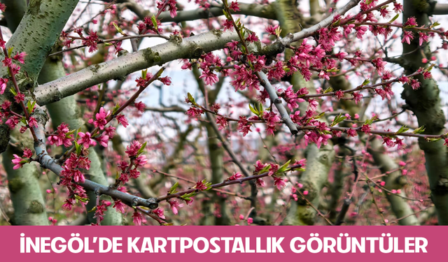 Bursa İnegöl'de kartpostallık görüntüler