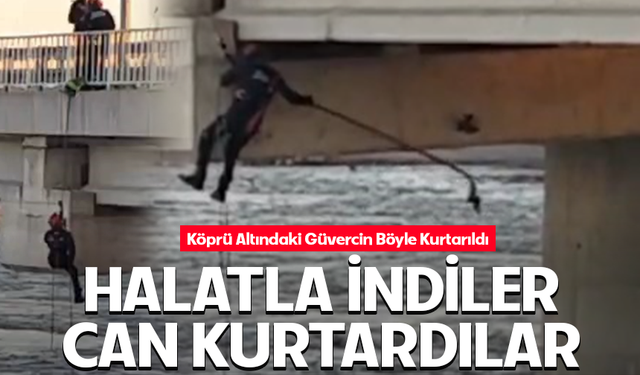 Bursa Karacabey'de asılı kalan güvercini halatla inip kurtardılar