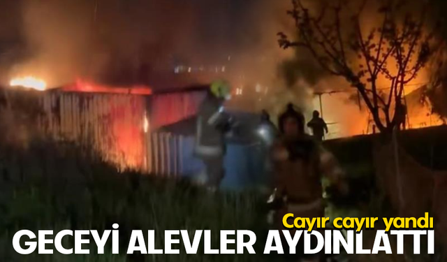 Bursa Nilüfer'de gece yarısı konteynır alevlere teslim oldu