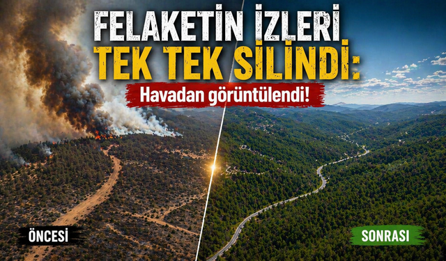 Bursa'da tarihin en büyük orman yangınında yaralar böyle sarıldı