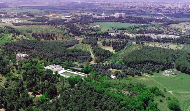 Dicle Üniversitesi'nin kampüsünde petrol bulundu!