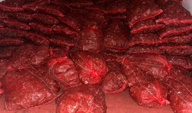 Bursa ve Balıkesir’de eş zamanlı operasyon: Tonlarca midye ele geçirildi