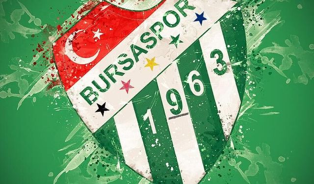 Bursaspor'a binlerce liralık ceza