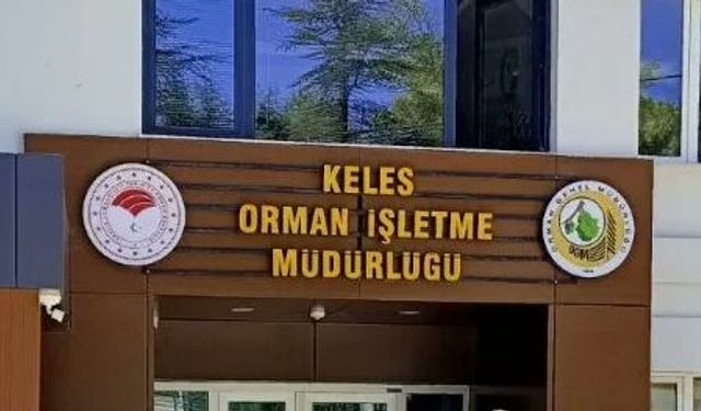 KELES ORMAN İŞLETME MÜDÜRLÜĞÜ TARAFINDAN ORMAN EMVALİ ÜRETİM HİZMETİ ALINACAK