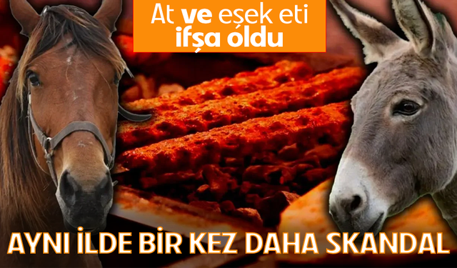 Yine aynı il yine aynı skandal! Vatandaşa at ve eşek eti yedirdiler