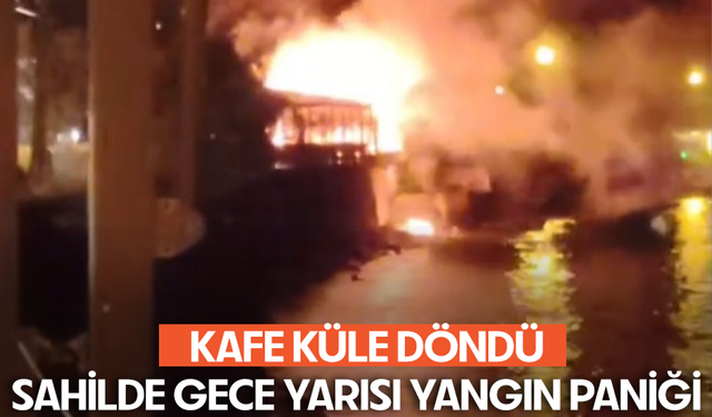 Bursa'nın Gemlik ilçesi  Kurşunlu Sahili'nde gece yarısı yangın paniği