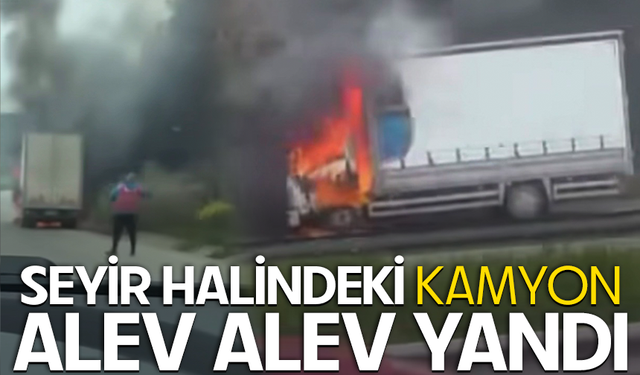 Bursa'da seyir halindeki kamyon, alev alev yandı