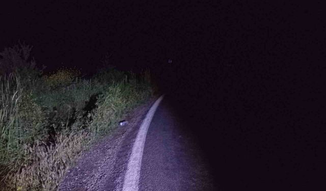 Bilecik'te motosiklet kazasında 1 kişi yaralandı