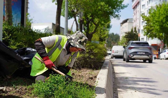 Bilecik'te park ve bahçeler müdürlüğünden yaza hazırlık çalışmaları