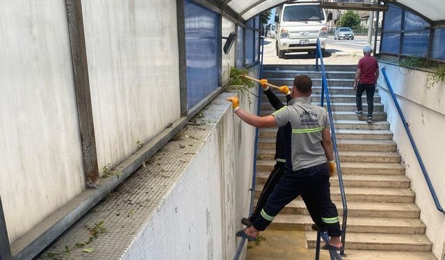 Gölcük'te bayram öncesi temizlik çalışması