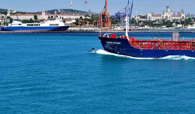 İstanbul Boğazından yunus sürüsüyle Kurban bayramı manzarası