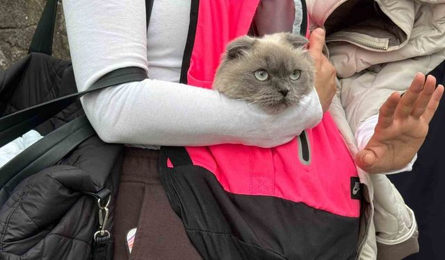 Kocaeli'de toprak kayması nedeniyle 5 bina tahliye edildi