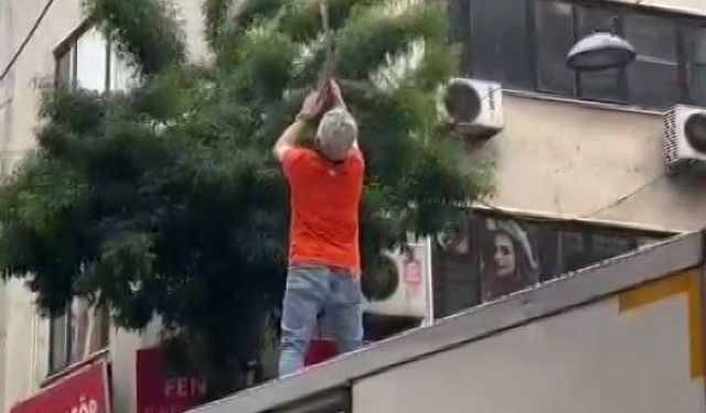 Pendik'te elektrik tellerine takılan martı kurtarıldı