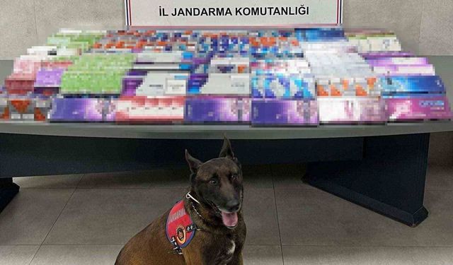 Sakarya'da kaçakçılığa jandarma izin vermiyor